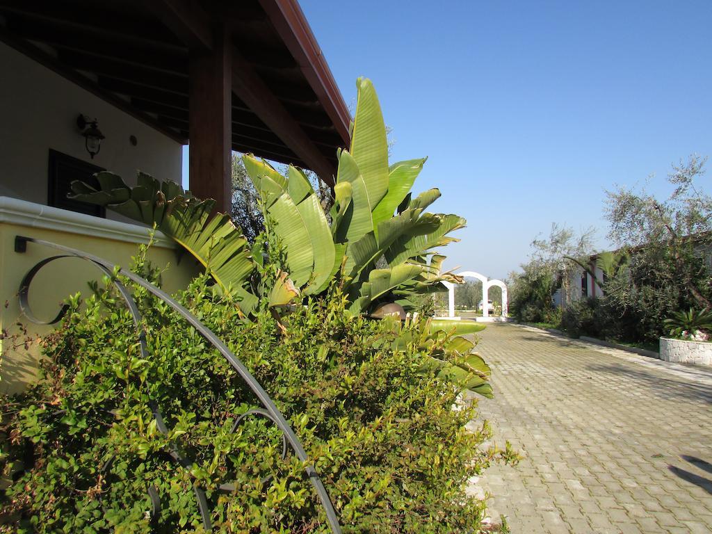 Villa Terra Nostra Vieste Ngoại thất bức ảnh